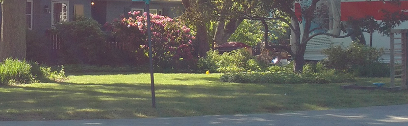 Illustration for article titled "mow your whole yard"